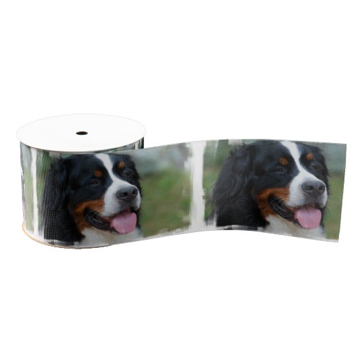 bernese-bergenhond-7 grosgrain lint (Spoel)