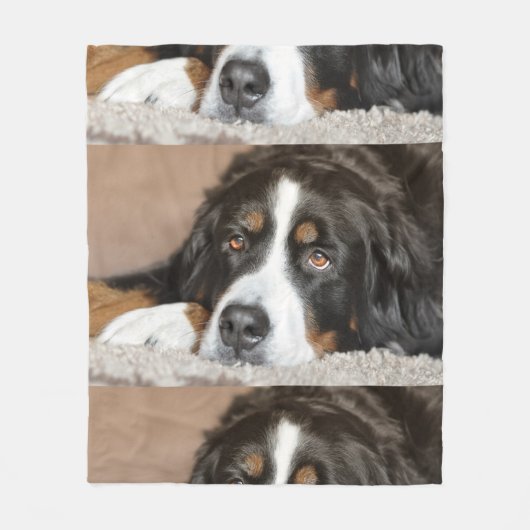 bernese berghond fleece deken (Voorkant)