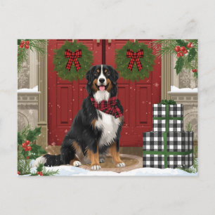 Bernese Berghond geruite Kerstmis Feestdagenkaart