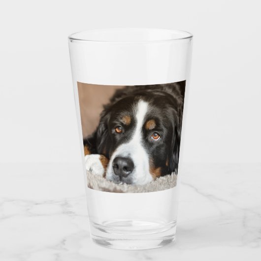 bernese berghond glas (Voorkant)