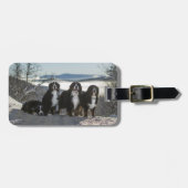 Bernese Berghond Groep Bagagelabel (Voorkant horizontaal)