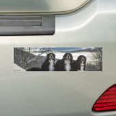 Bernese Berghond Groep Bumpersticker (Op auto)