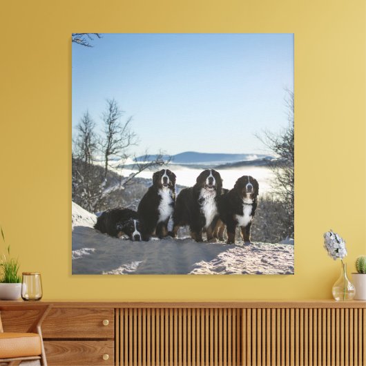 Bernese Berghond Groep Canvas Afdruk (Insitu (Woonkamer))