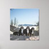 Bernese Berghond Groep Canvas Afdruk (Voorkant)