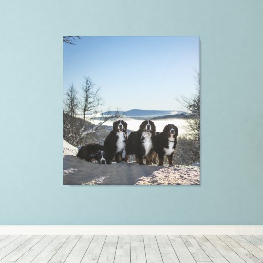 Bernese Berghond Groep Canvas Afdruk (Insitu (Houten vloer))