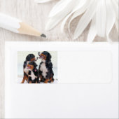 Bernese Berghond Groep Etiket (Insitu)