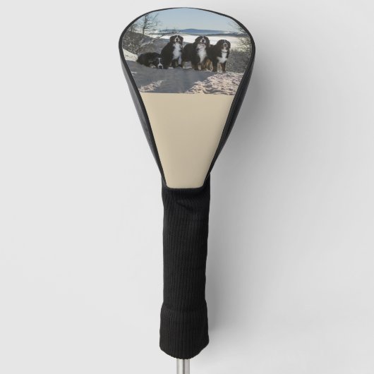 Bernese Berghond Groep Golfheadcover (Voorkant)