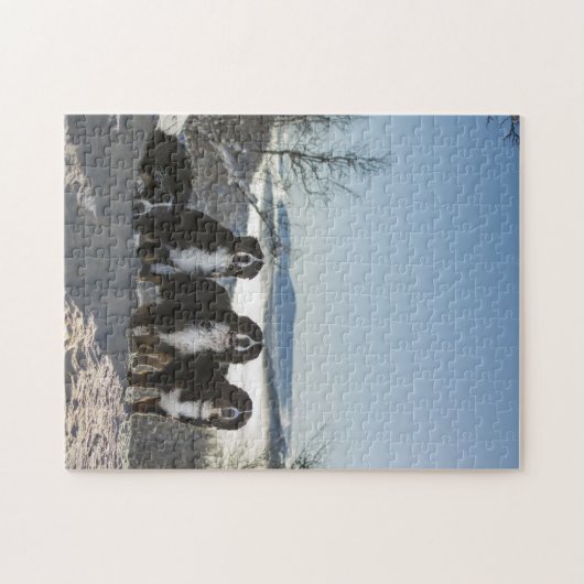 Bernese Berghond Groep Legpuzzel (Horizontaal)