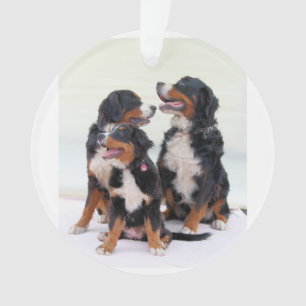 Bernese Berghond Groep Ornament