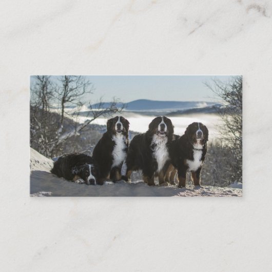 Bernese Berghond Groep Visitekaartje (Voorkant)