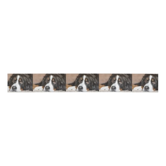bernese berghond grosgrain lint (Voorkant)