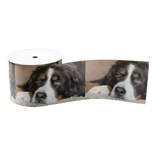 bernese berghond grosgrain lint