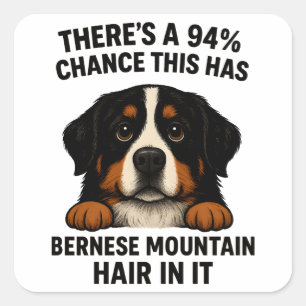 Bernese Berghond Haar Overal Grappig Vierkante Sticker