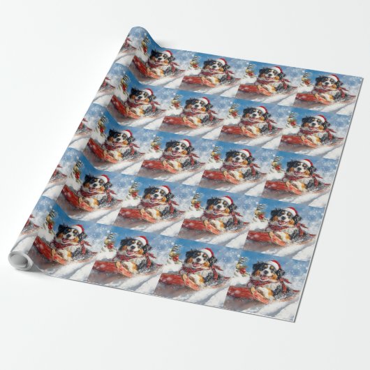 Bernese Berghond in slee Christmas Cadeaupapier (Uitgerold)