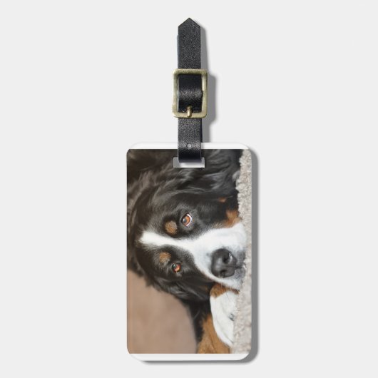 bernese berghond leggen bagagelabel (Voorkant verticaal)