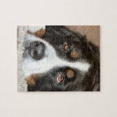 bernese berghond legpuzzel (Horizontaal)