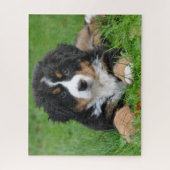 Bernese Berghond Legpuzzel Puppy (Verticaal)