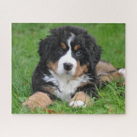 Bernese Berghond Legpuzzel Puppy (Horizontaal)