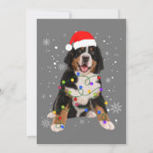 Bernese Berghond Lichten Kerst Matching Fam Feestdagenkaart (Voorkant)