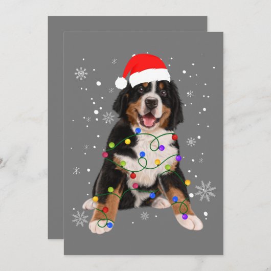 Bernese Berghond Lichten Kerst Matching Fam Feestdagenkaart (Voorkant / Achterkant)