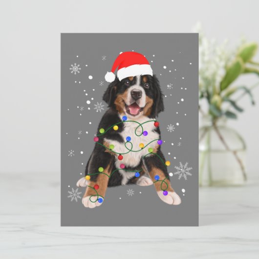 Bernese Berghond Lichten Kerst Matching Fam Feestdagenkaart (Staand voorkant)