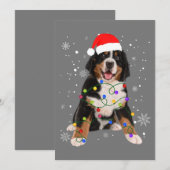 Bernese Berghond Lichten Kerst Overeenkomstige Fam Feestdagenkaart (Voorkant / Achterkant)
