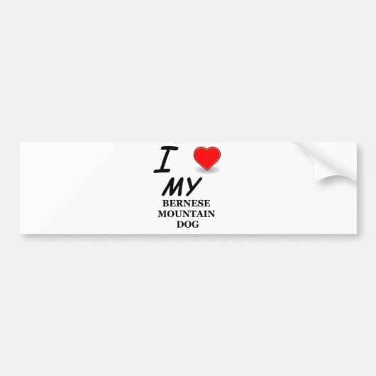 Bernese berghond liefde bumpersticker (Voorkant)