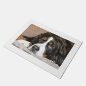 Bernese berghond liggend deurmat (Schuin)