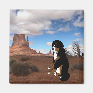 Bernese Berghond Monument Valley Magneet