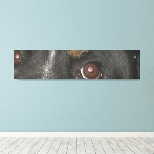Bernese Berghond Ogen Canvas Afdruk (Insitu (Houten vloer))