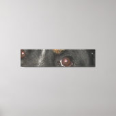 Bernese Berghond Ogen Canvas Afdruk (Voorkant)