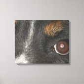 Bernese Berghond Ogen Canvas Afdruk (Voorkant)