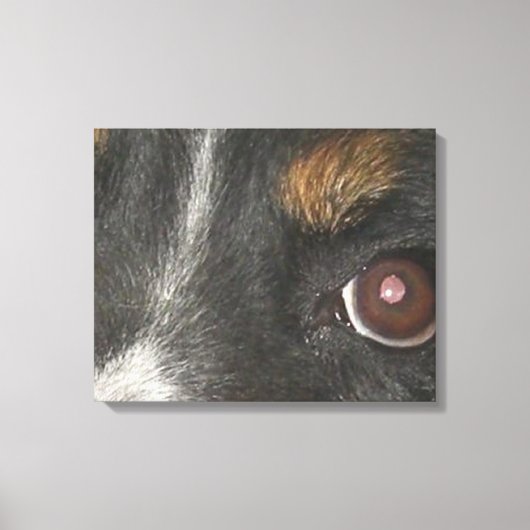 Bernese Berghond Ogen Canvas Afdruk (Voorkant)