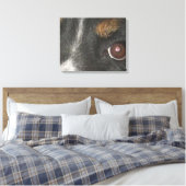 Bernese Berghond Ogen Canvas Afdruk (Insitu (Slaapkamer))