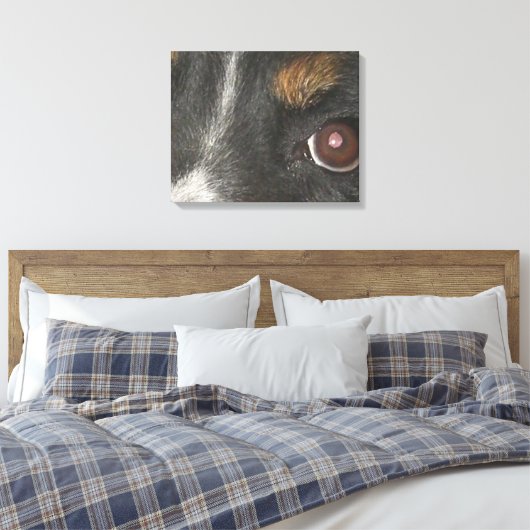 Bernese Berghond Ogen Canvas Afdruk (Insitu (Slaapkamer))