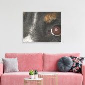 Bernese Berghond Ogen Canvas Afdruk (Insitu (Woonkamer))