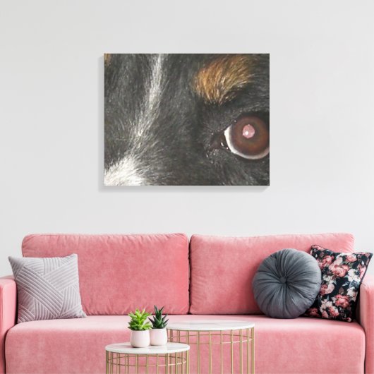 Bernese Berghond Ogen Canvas Afdruk (Insitu (Woonkamer))