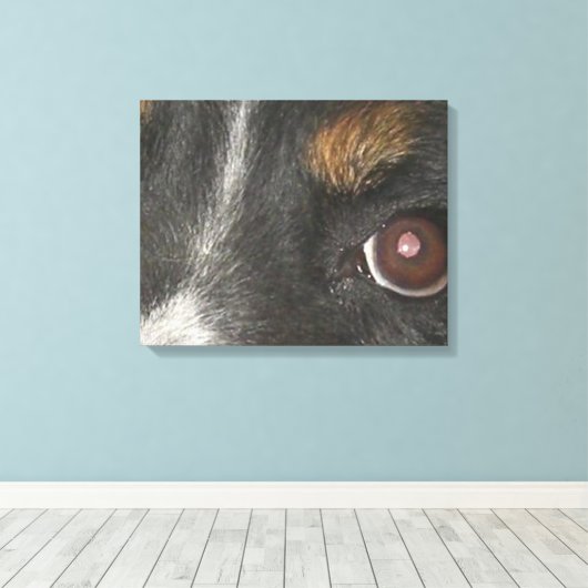 Bernese Berghond Ogen Canvas Afdruk (Insitu (Houten vloer))