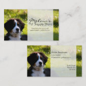 Bernese berghond op foto van groengras visitekaartje (Voorkant / Achterkant)