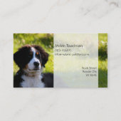 Bernese berghond op foto van groengras visitekaartje (Achterkant)