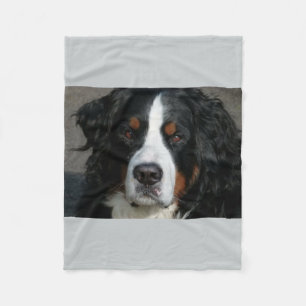 bernese berghond .png fleece deken