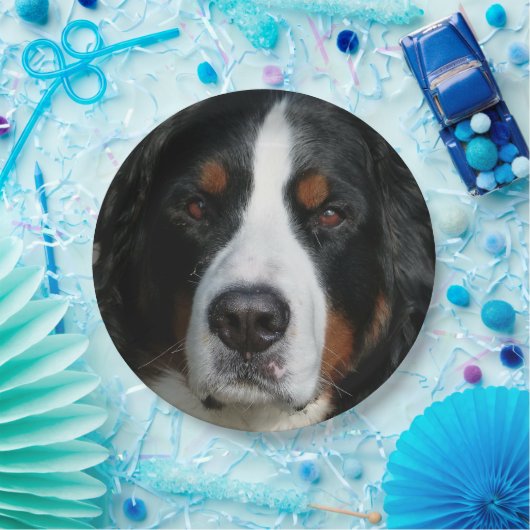 bernese berghond .png papieren bordje (Feest)