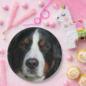 bernese berghond .png papieren bordje (Feest)