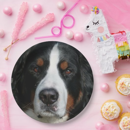 bernese berghond .png papieren bordje (Feest)