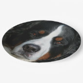 bernese berghond .png papieren bordje (Gekanteld)