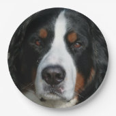 bernese berghond .png papieren bordje (Voorkant)