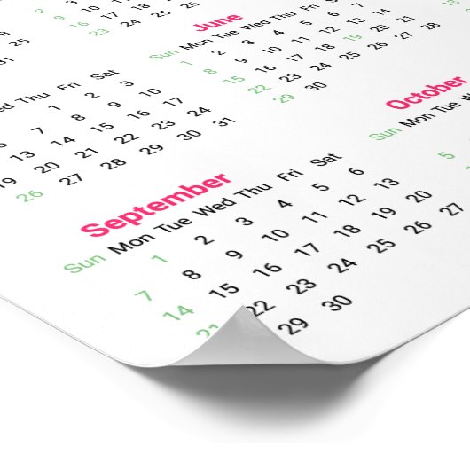 Bernese Berghond Puppy 2025 Agenda Poster (Hoek)