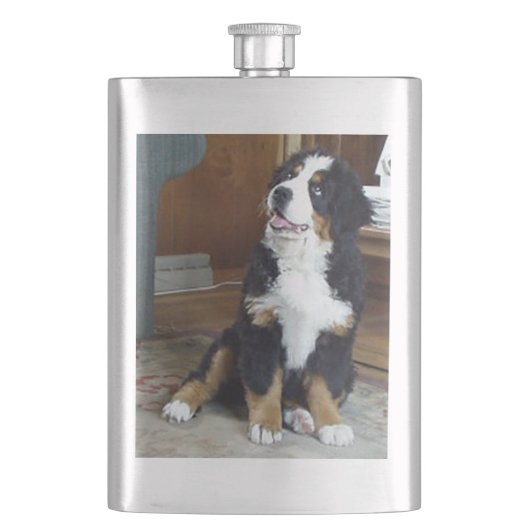 Bernese berghond puppy flacon (Voorkant)