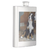 Bernese berghond puppy flacon (Rechts)