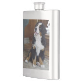 Bernese berghond puppy flacon (Links)